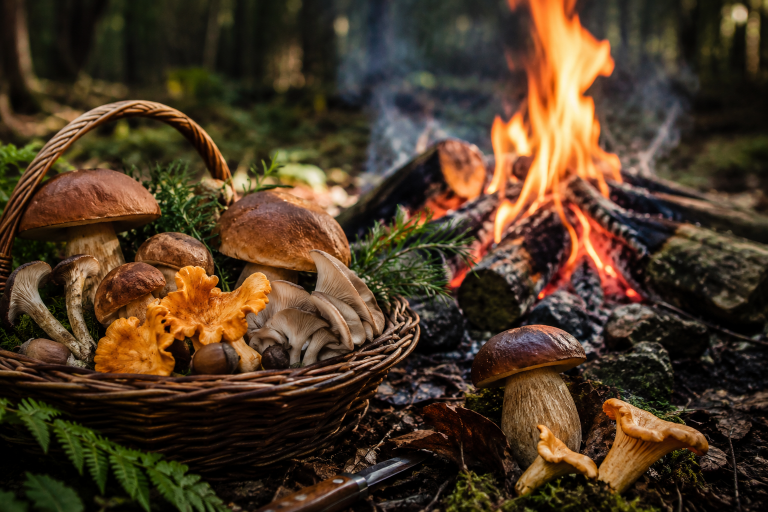 Forage, Folklore and Feast Over the Fire